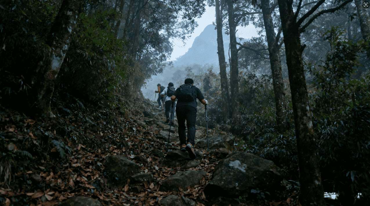 芒果VP加速器下载地址及最新版本推荐